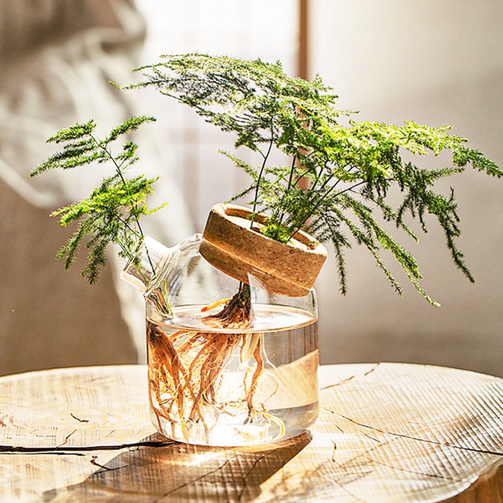 Dome-shaped Hydroponic Vase - A Green Wonderland