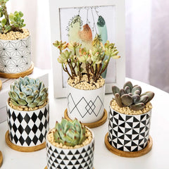 Ceramic Flower Pots: Elevate Your Space with Black and White Geometric Patterns (8 Styles)