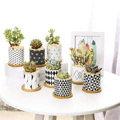 Ceramic Flower Pots: Elevate Your Space with Black and White Geometric Patterns (8 Styles)