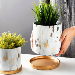 Luxurious Marble-Style Flower Pots with Golden Tray