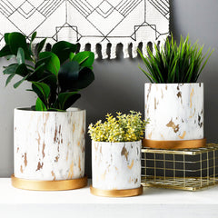 Luxurious Marble-Style Flower Pots with Golden Tray