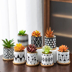 Stylish Flower Pots With Geometric Design And Wooden Tray (8 unique designs)
