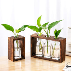 Wood-Encased Hydroponic Vase: A Nordic Decor Statement