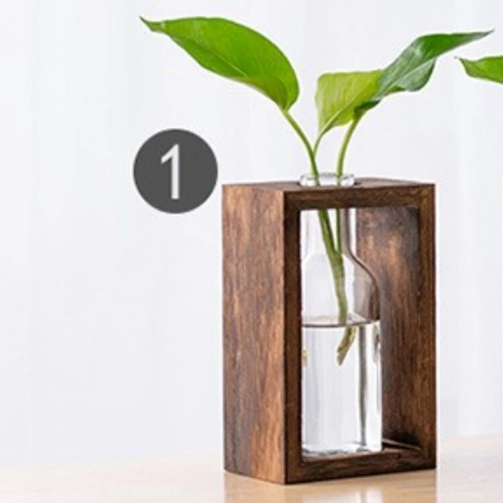 Wood-Encased Hydroponic Vase: A Nordic Decor Statement