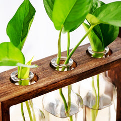 Wood-Encased Hydroponic Vase: A Nordic Decor Statement