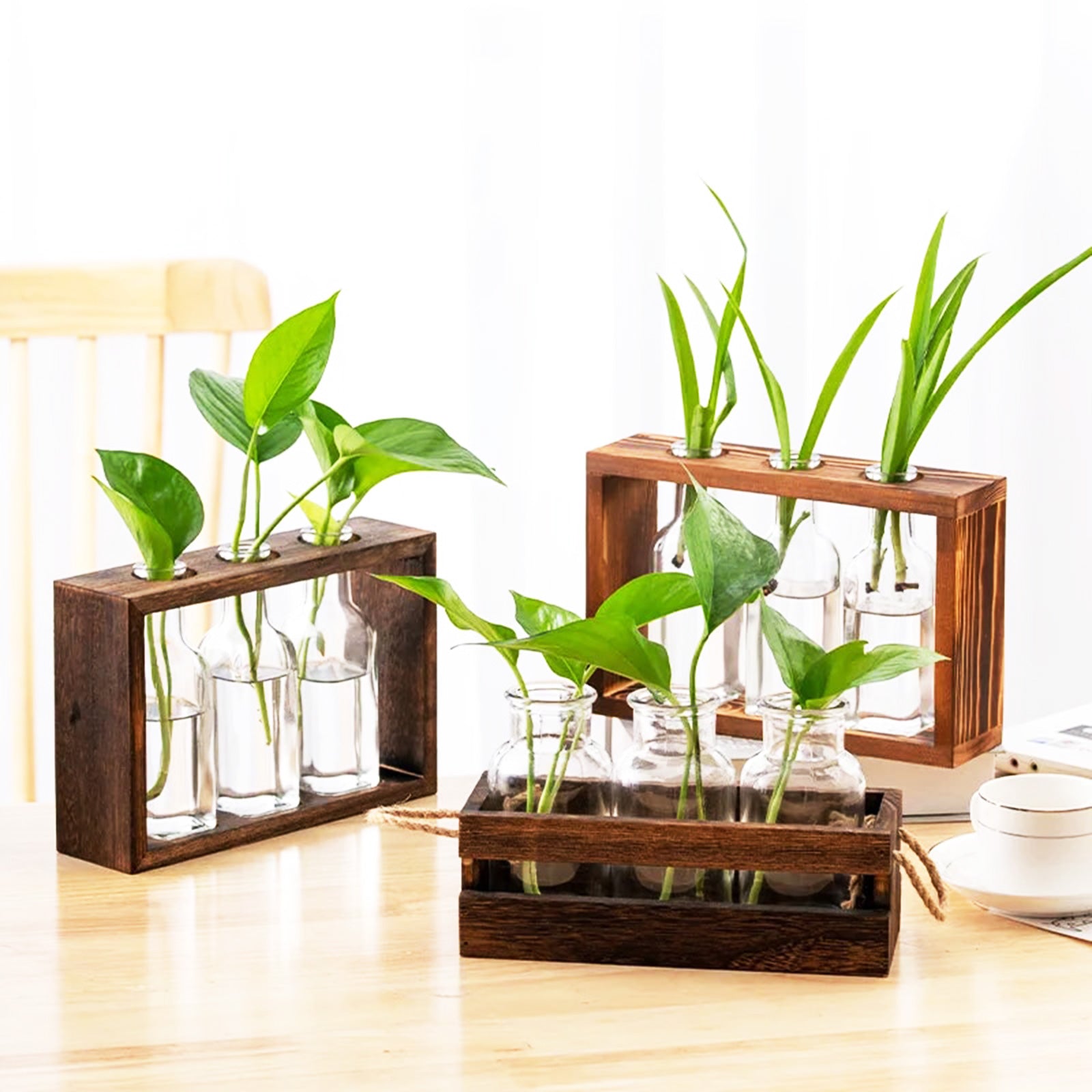 Wood-Encased Hydroponic Vase: A Nordic Decor Statement