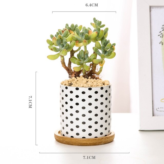 Ceramic Flower Pots: Elevate Your Space with Black and White Geometric Patterns (8 Styles)