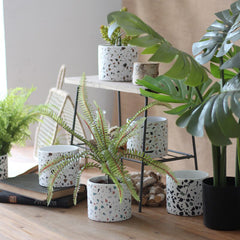 Stylish Nordic Plant Pots - White with Playful Colored Speckles (Available in 4 Styles)