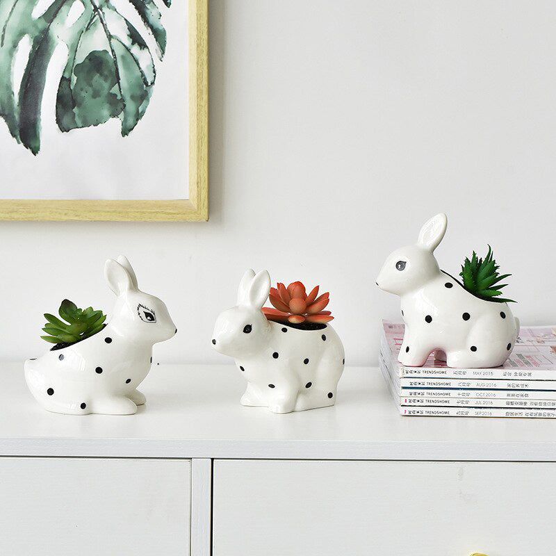 Charming Polka Dot Rabbit Plant Pots - 3 Adorable Types