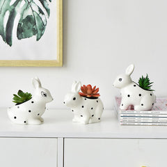 Charming Polka Dot Rabbit Plant Pots - 3 Adorable Types