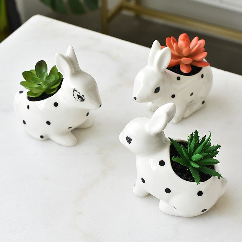 Charming Polka Dot Rabbit Plant Pots - 3 Adorable Types