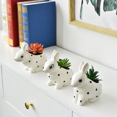 Charming Polka Dot Rabbit Plant Pots - 3 Adorable Types