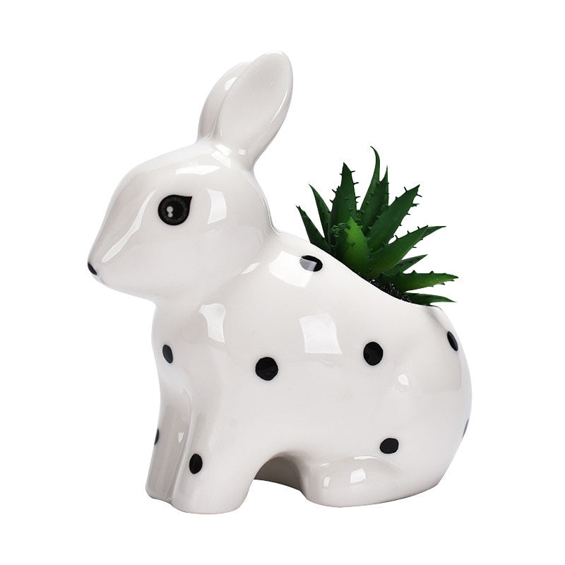 Charming Polka Dot Rabbit Plant Pots - 3 Adorable Types