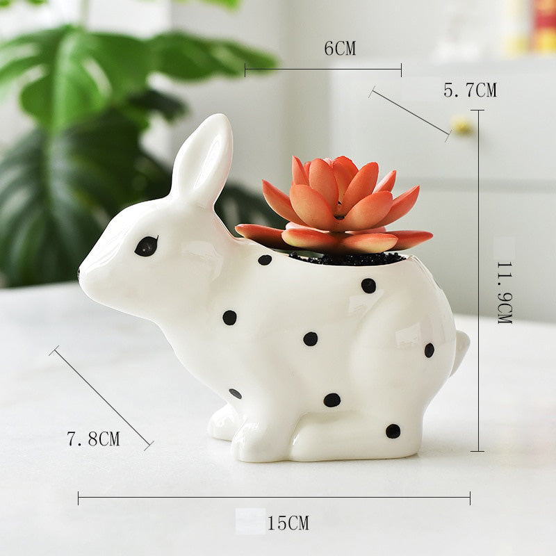 Charming Polka Dot Rabbit Plant Pots - 3 Adorable Types