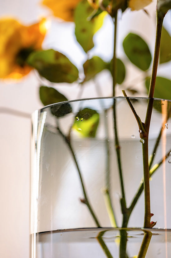 Glass Vases in Tung Wood Holders - Perfect for Any Botanical Style