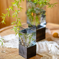 Square Glass Vase With Wooden Base For Hydroponics (2 sizes)