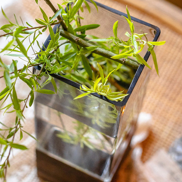 Square Glass Vase With Wooden Base For Hydroponics (2 sizes)